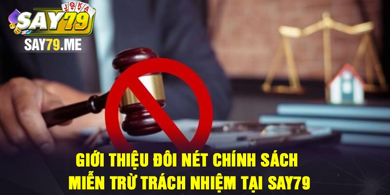 Giới thiệu đôi nét chính sách miễn trừ trách nhiệm tại Say79