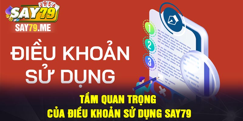 Tầm quan trọng của điều khoản sử dụng Say79